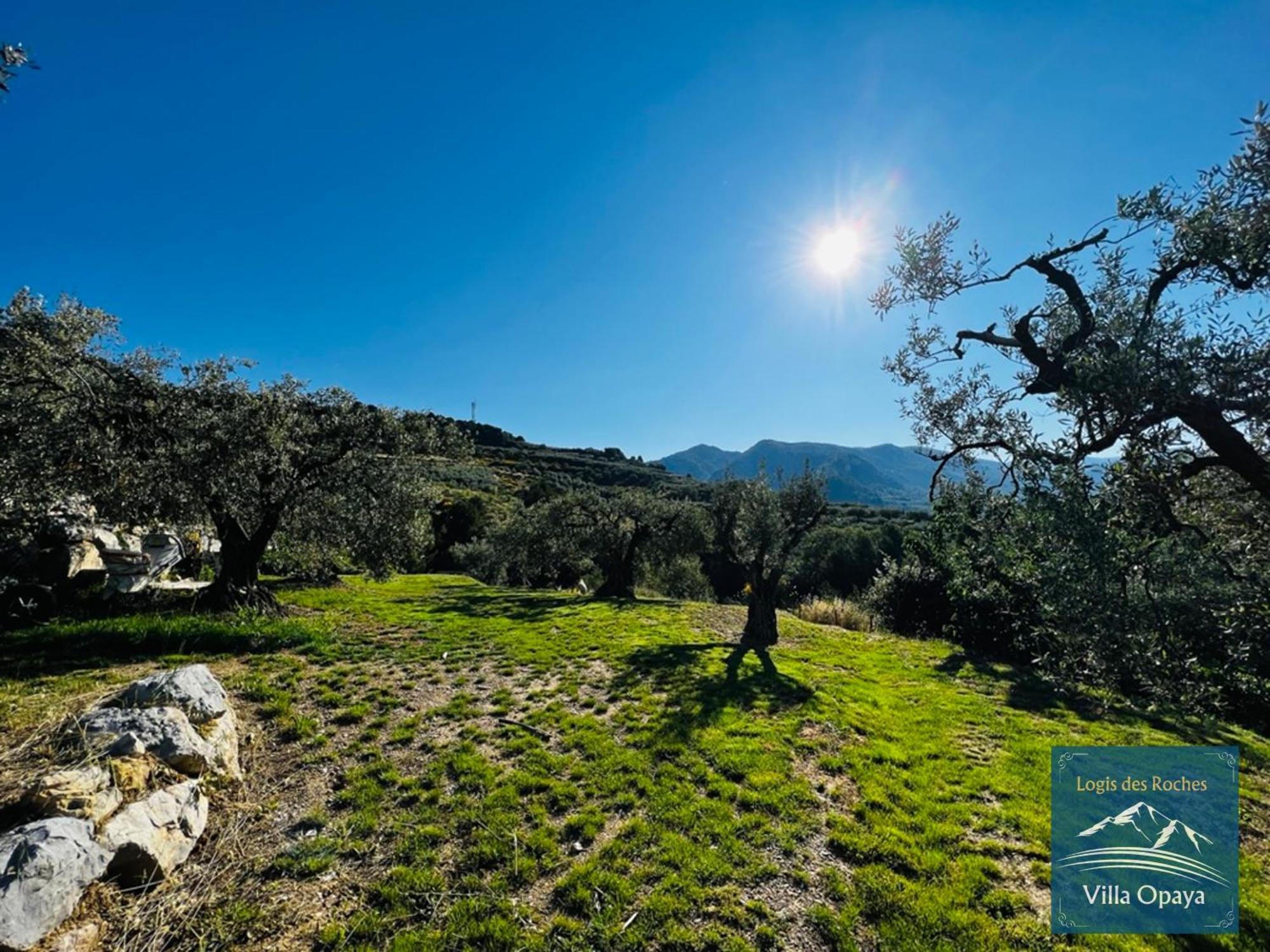 Apartment Logis Des Roches: Three With Exceptional Views